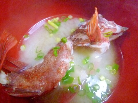 カサゴ あらかぶ 味噌汁 レシピ 作り方 By Nontan 楽天レシピ カサゴ あらかぶ 味噌汁 レシピ 作り方 By Nontan 楽天レシピ